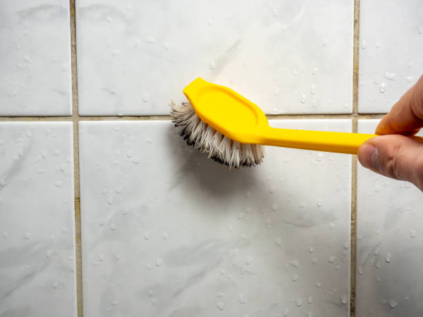 Best Home Mold Removal  in Prudhoe Bay, AK