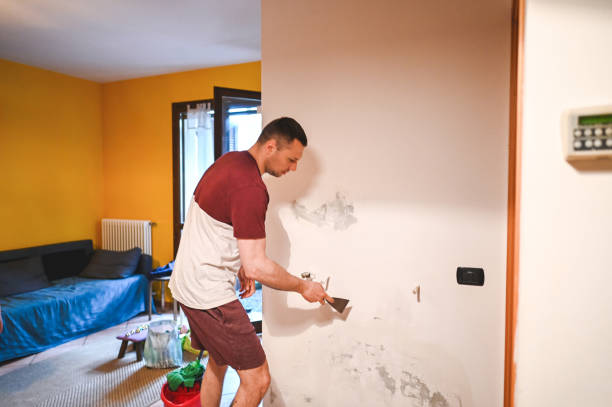 Best Mold Removal Process  in Prudhoe Bay, AK